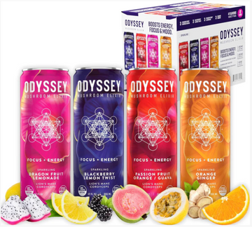 Odyssey Mushroom Elixir Energy + Focus Drink 12 pack