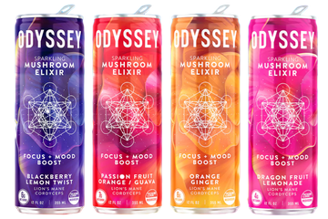 Odyssey Mushroom Elixir Energy + Focus Drink Case