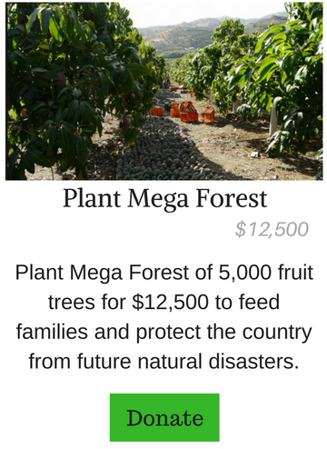 Plant Mega Forest of Fruit Trees