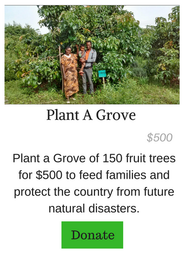 Plant A Grove of Fruit Trees