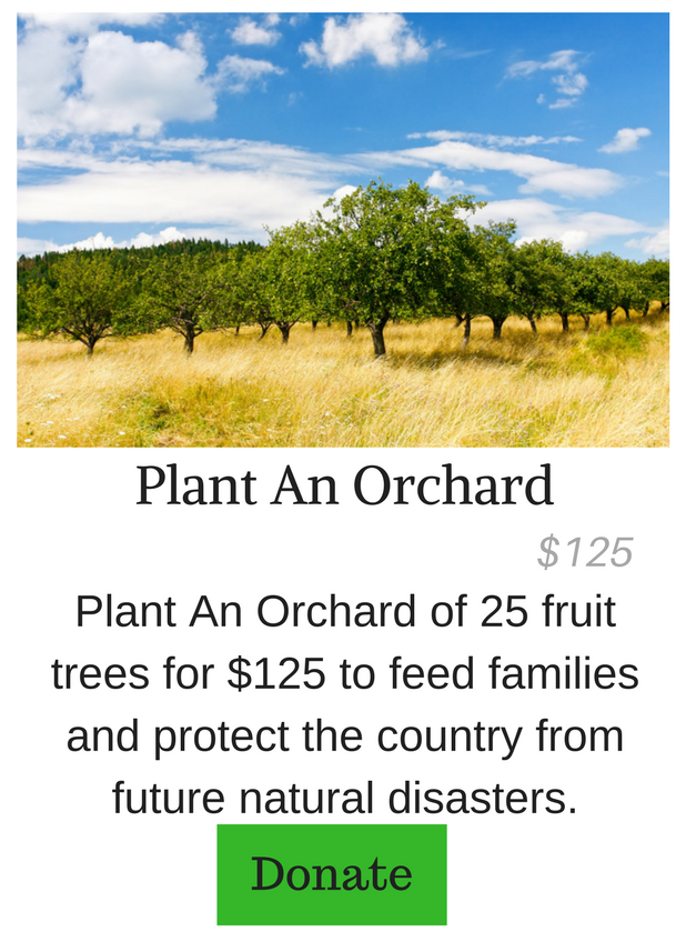 Plant An Orchard of Fruit Trees